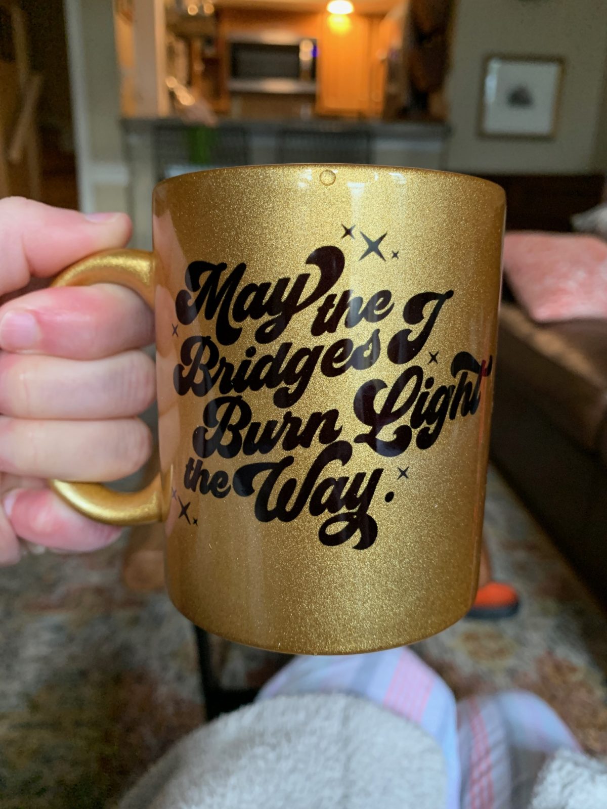 may the bridges i burn light the way mug